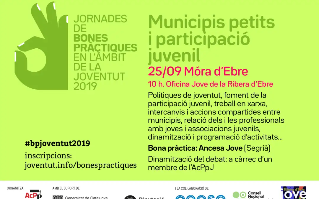 Jornada de bones pràctiques a Móra d'Ebre: Municipis petits i participació juvenil